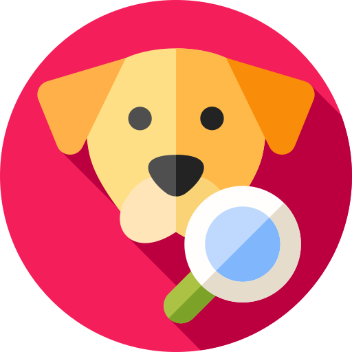 mascotas perdidas mascota perdida encontrar mascota perros perdidos