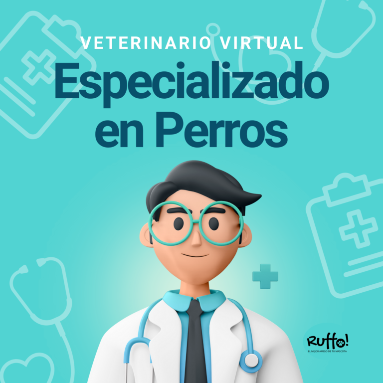 veterinario 24 hs