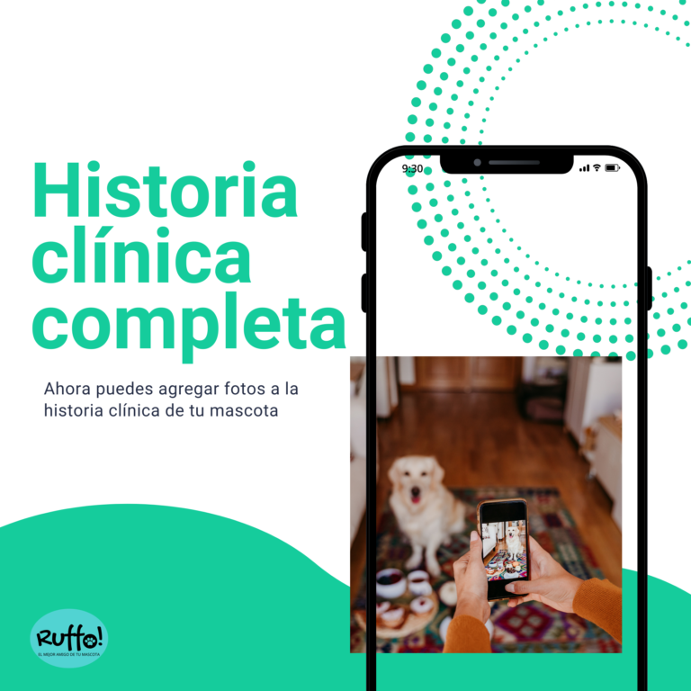historia clíinica mascotas