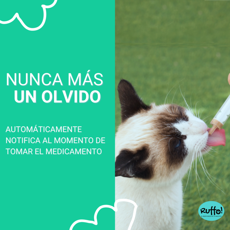 ruffo recordatorios