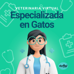 veterinario online