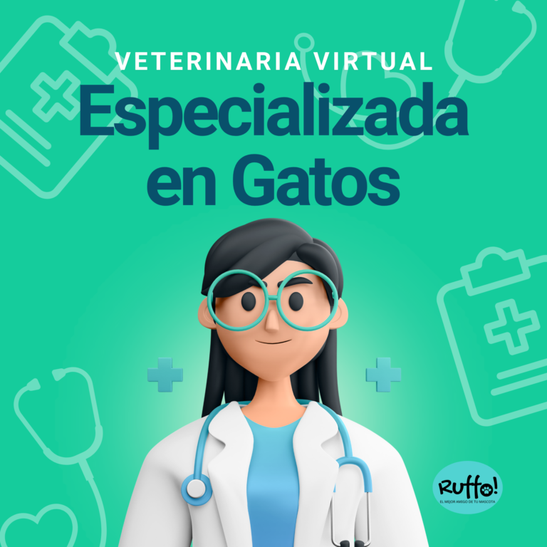 veterinario online