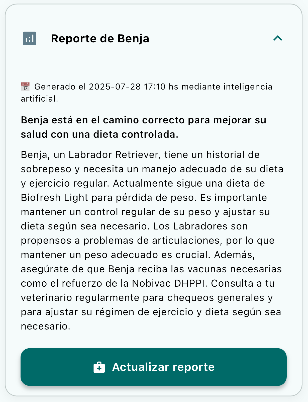 Texto de ejemplo del Ruffo reporte de salud para el cuidado de mascotas.