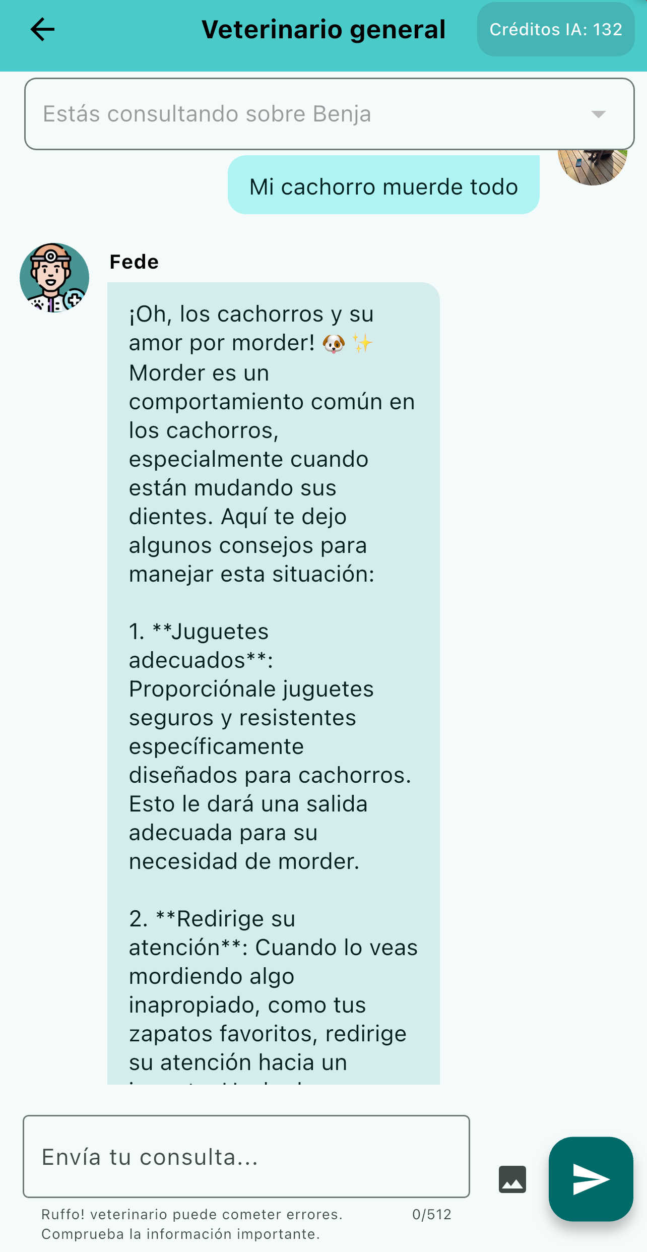 Chat en la app Ruffo con el veterinario online, que brinda consejos para un cachorro que muerde todo.