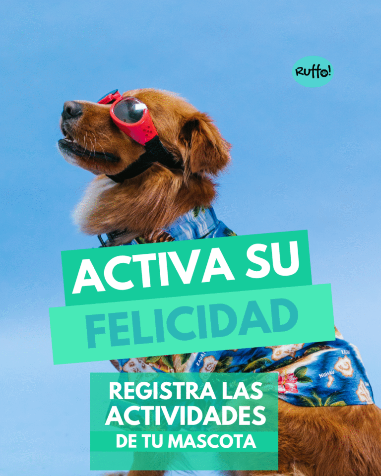 Ruffo! App para mascotas que permite registrar actividades.