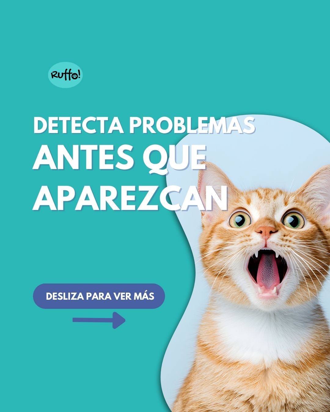 Ruffo - Reporte de salud que previene problemas