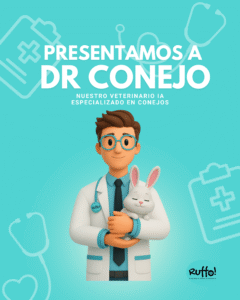 Ruffo veterinario ia conejos