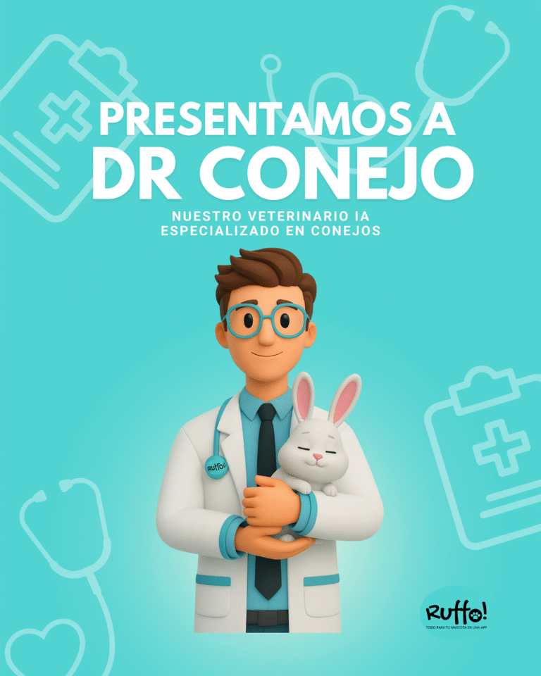 Ruffo veterinario ia conejos