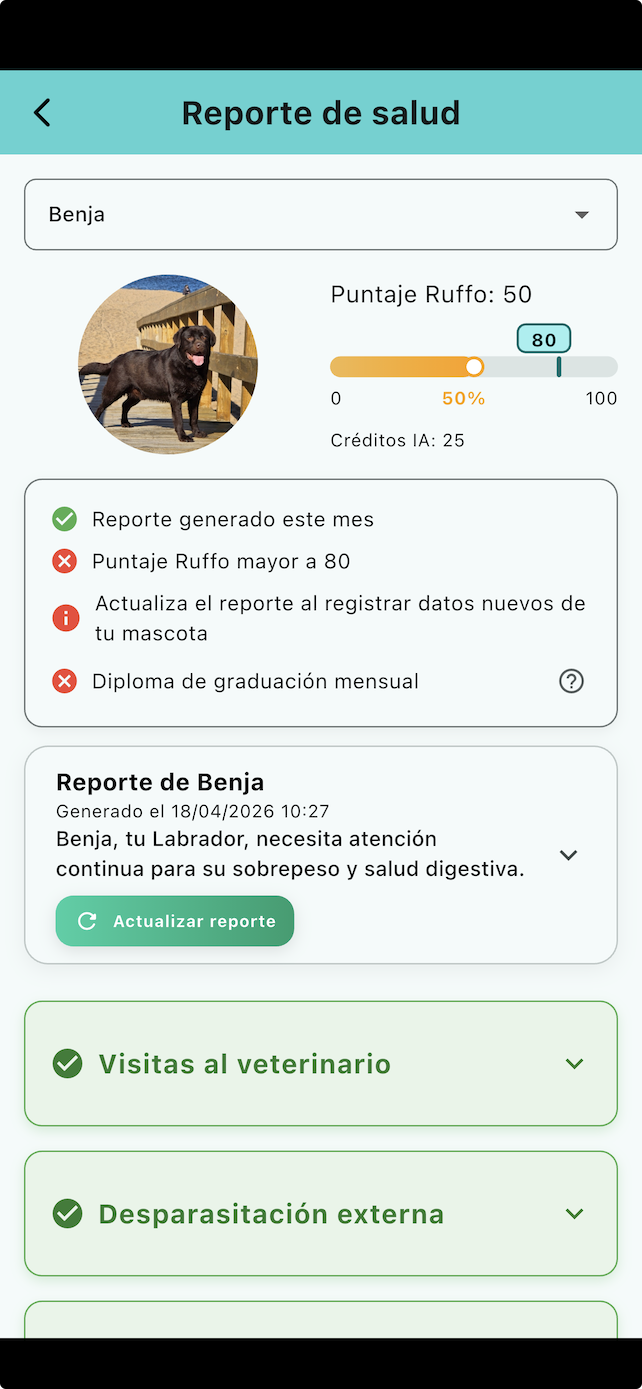 Pantalla de Ruffo mostrando puntaje y recompensas por cuidado de mascota