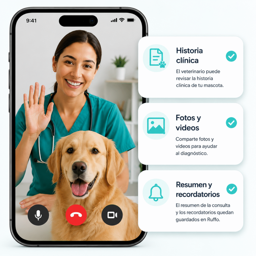 veterinario online