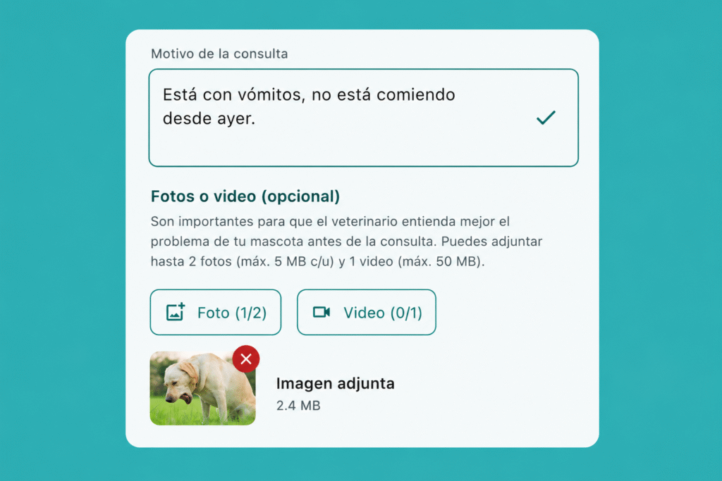 Comparte síntomas, fotos y videos antes de la consulta​